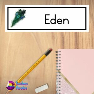 Feather-Name-Plate-Large-Design-3.jpg