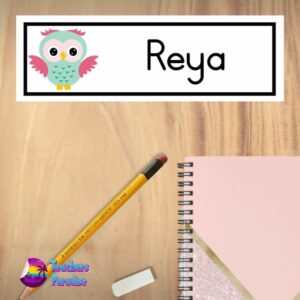 Owl-Name-Plate-Large-Design-2.jpg