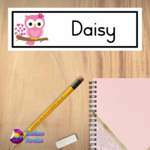 Owl-Name-Plate-Large-Design-5.jpg