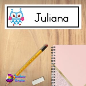 Owl-Name-Plate-Large-Design-6.jpg
